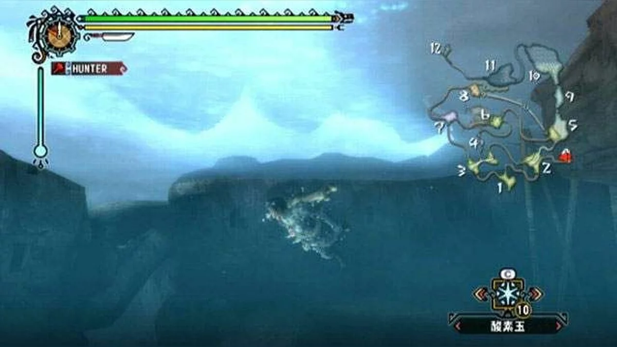 Скриншоты из Monster Hunter Tri / Картинка 39