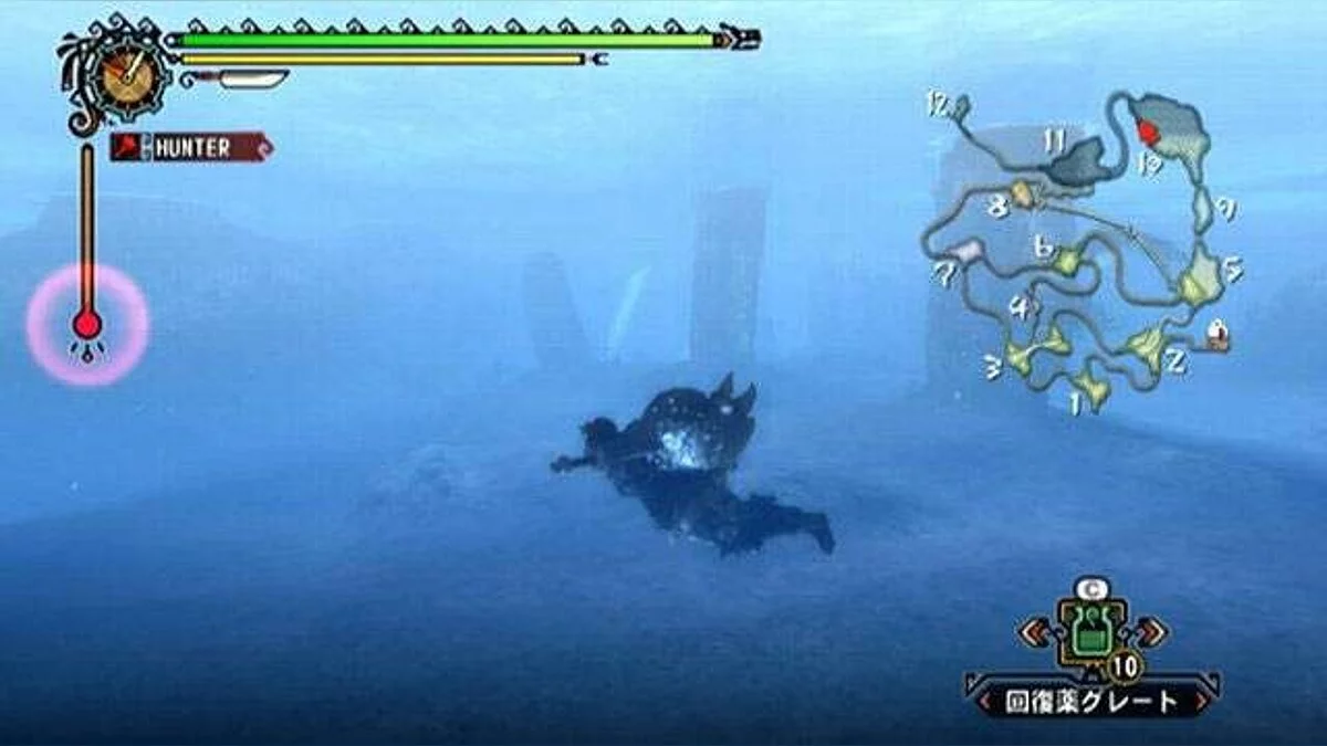 Скриншоты из Monster Hunter Tri / Картинка 40