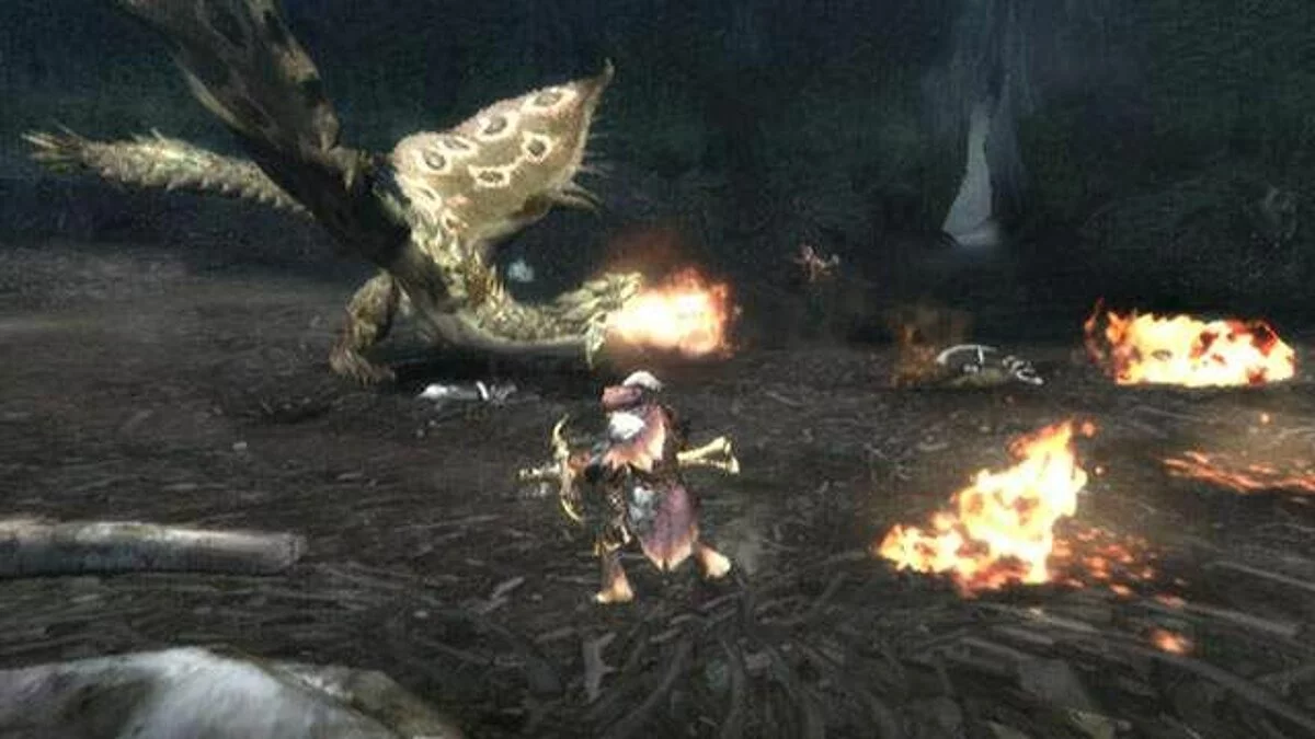 Скриншоты из Monster Hunter Tri / Картинка 55