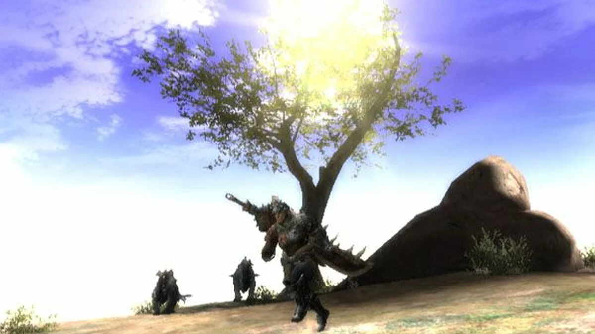 Скриншоты из Monster Hunter Tri / Картинка 60