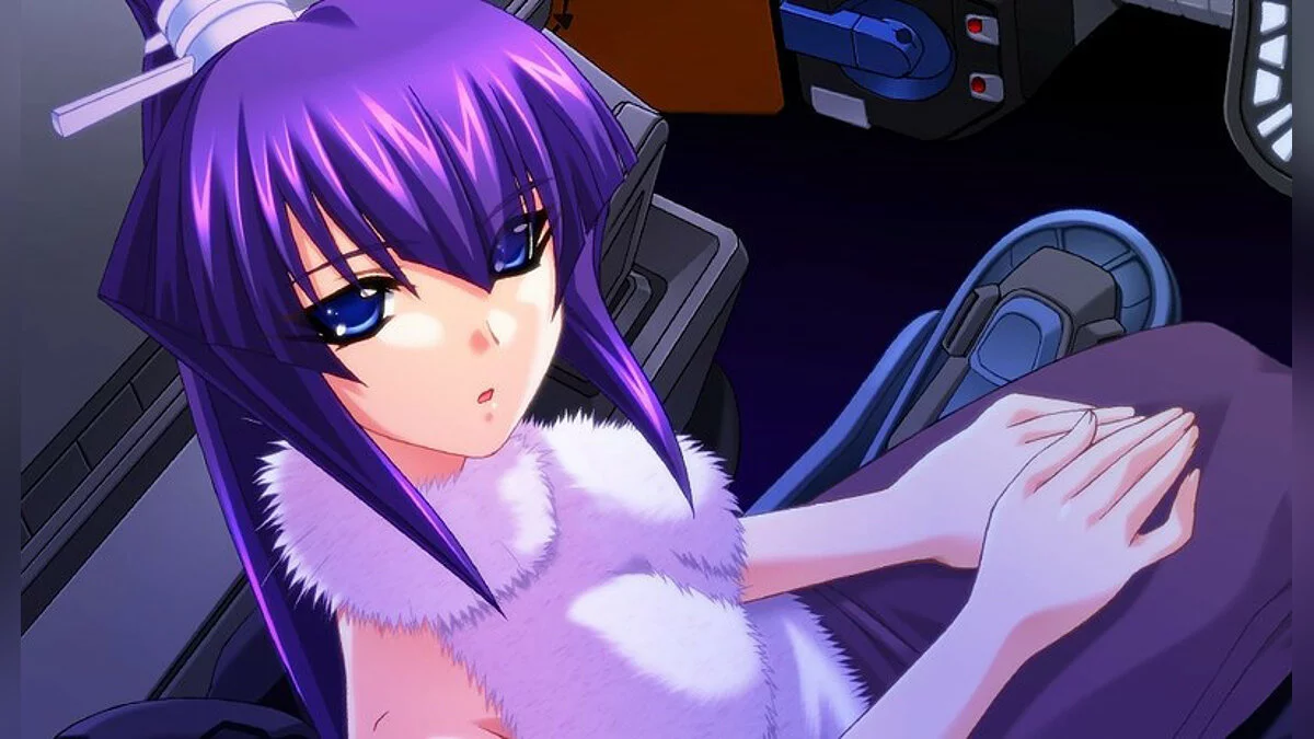 Скриншоты из Muv-Luv Alternative / Картинка 12