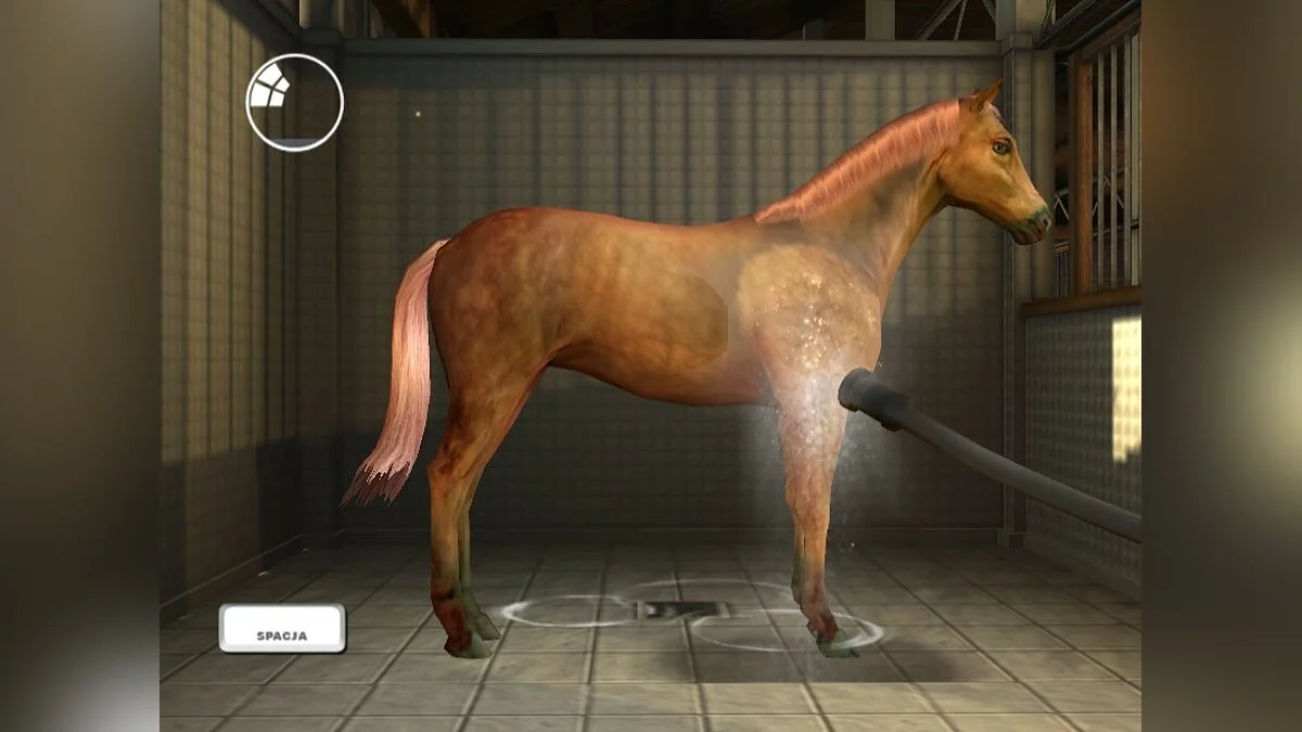 Скриншоты из My Horse & Me 2 / Картинка 46
