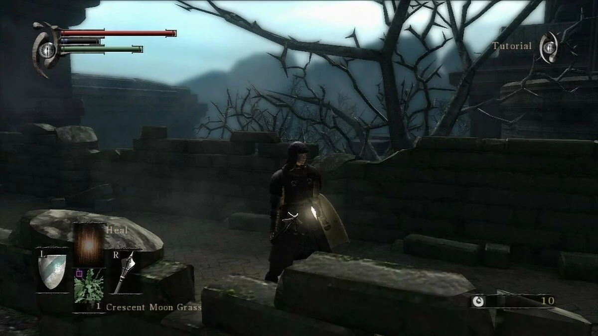 Скриншоты из Demon's Souls (2009) / Картинка 96