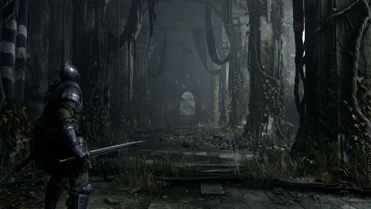 Скриншоты из Demon's Souls (2009) / Картинка 125