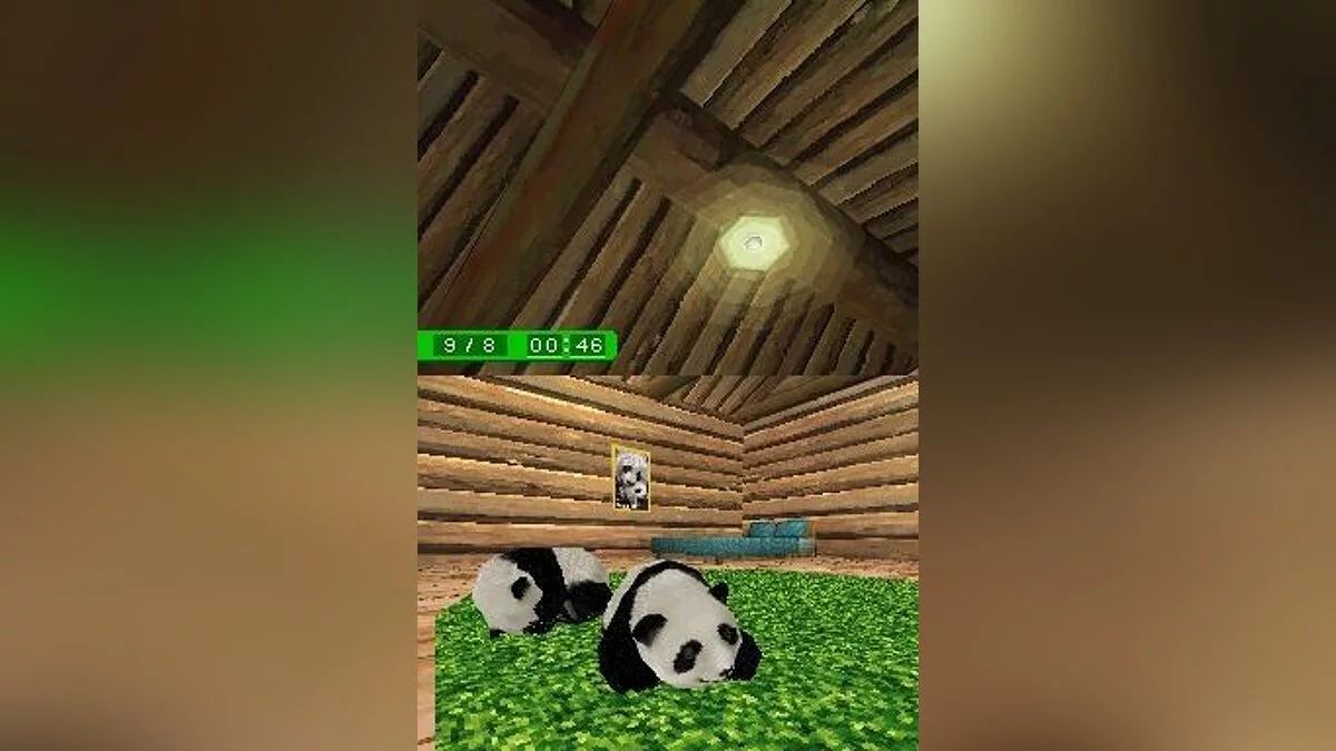 Скриншоты из National Geographic Panda / Картинка 2