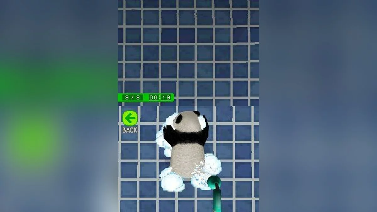 Скриншоты из National Geographic Panda / Картинка 11