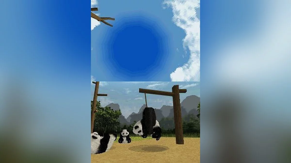 Скриншоты из National Geographic Panda / Картинка 18