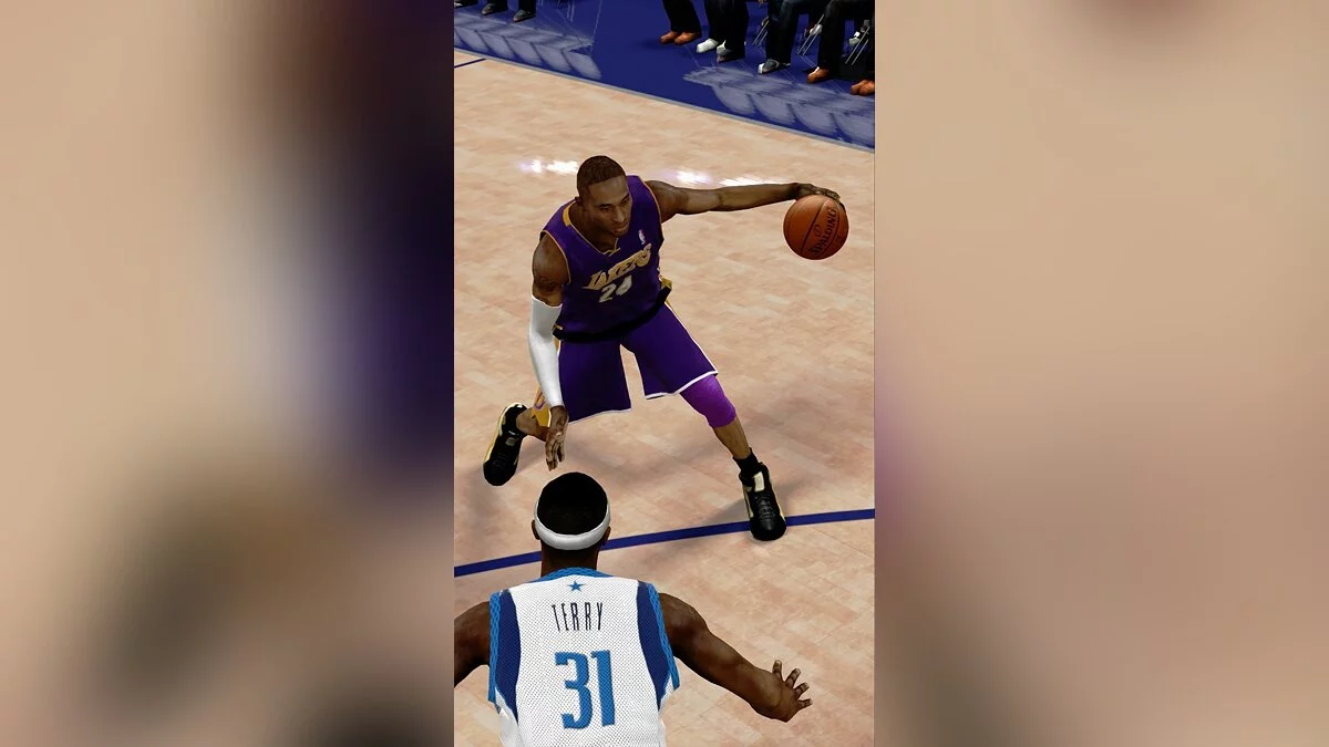 Скриншоты из NBA 2K9 / Картинка 12
