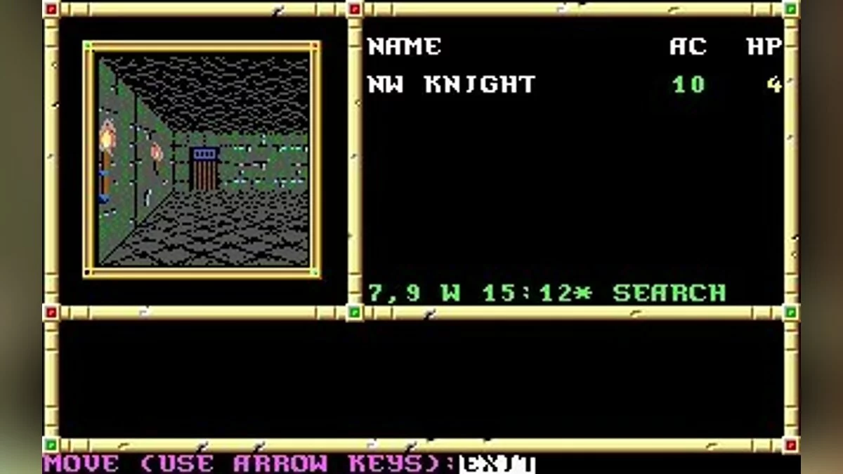 Скриншоты из Neverwinter Nights (1991) / Картинка 32