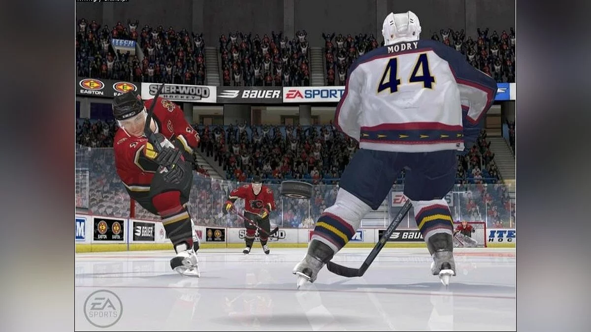 Скриншоты из NHL 06 / Картинка 6
