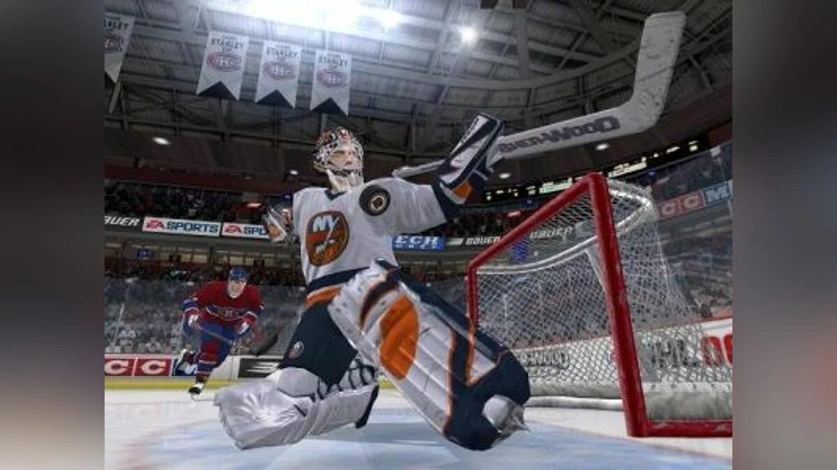 Скриншоты из NHL 06 / Картинка 3