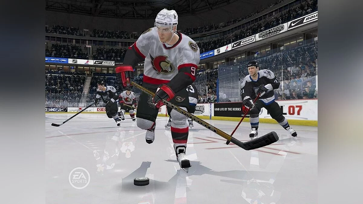 Скриншоты из NHL 07 / Картинка 15