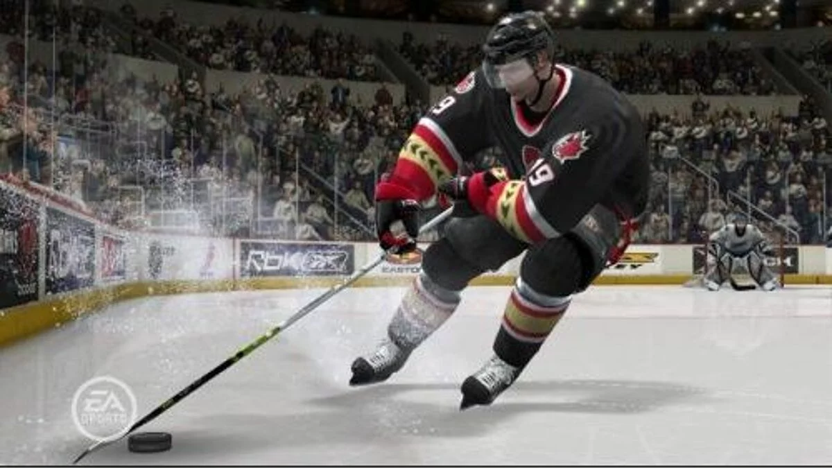Скриншоты из NHL 07 / Картинка 12