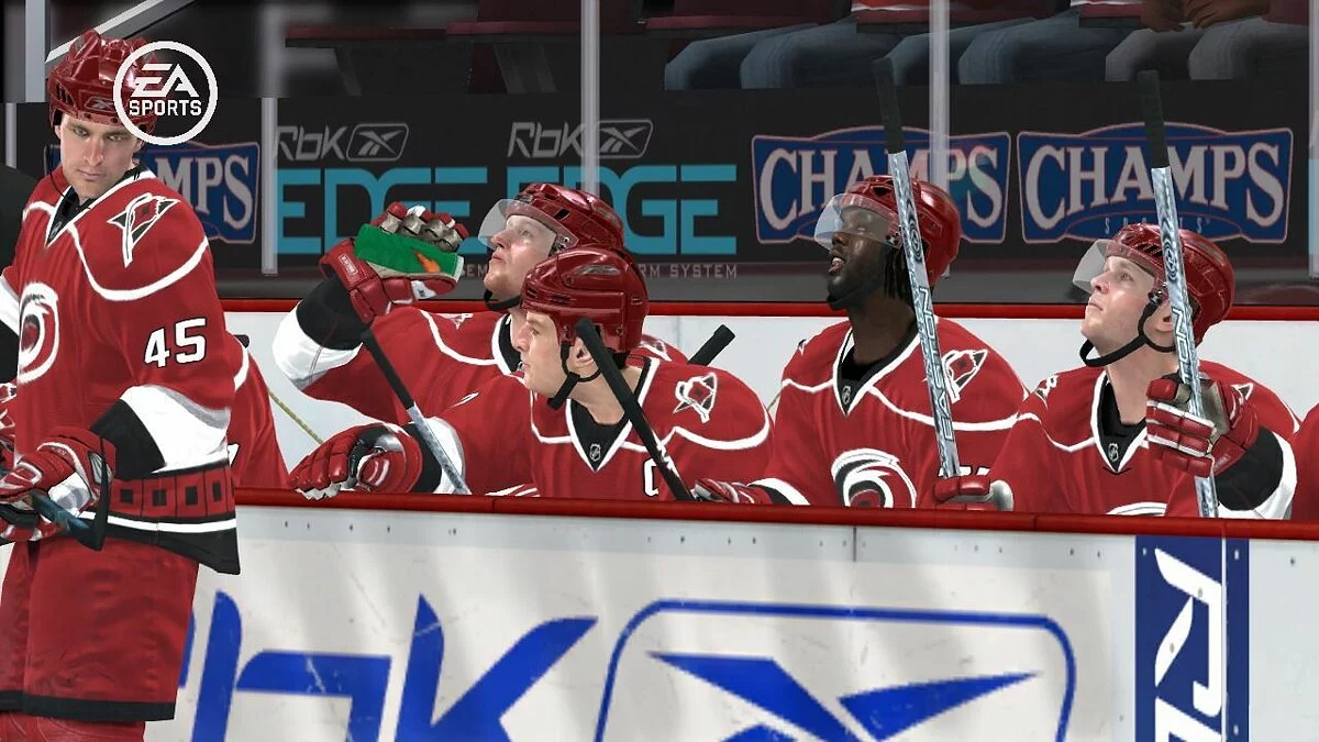 Скриншоты из NHL 08 / Картинка 5
