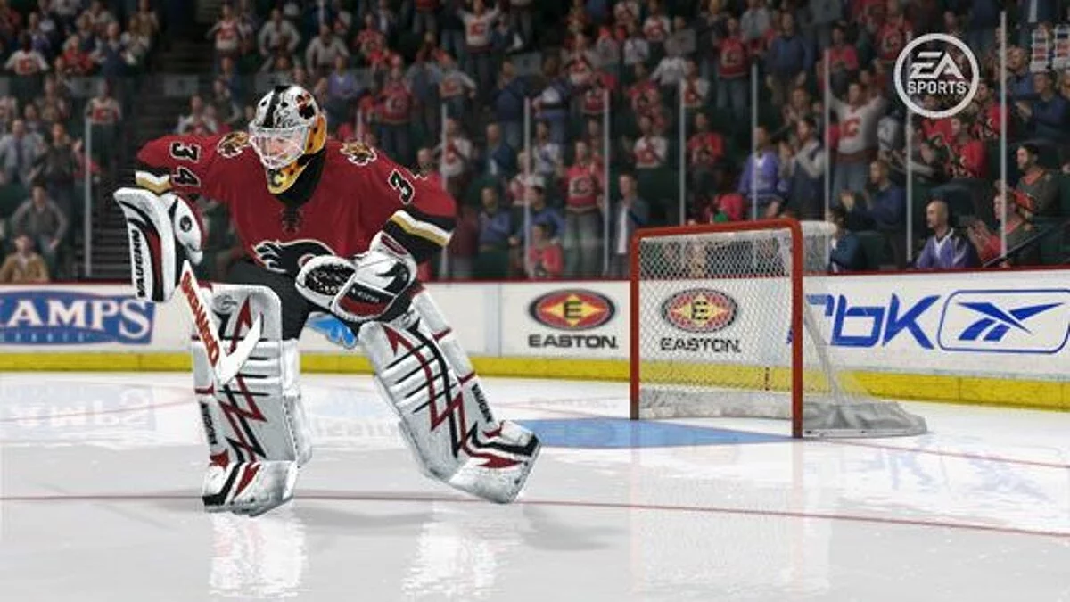 Скриншоты из NHL 08 / Картинка 24