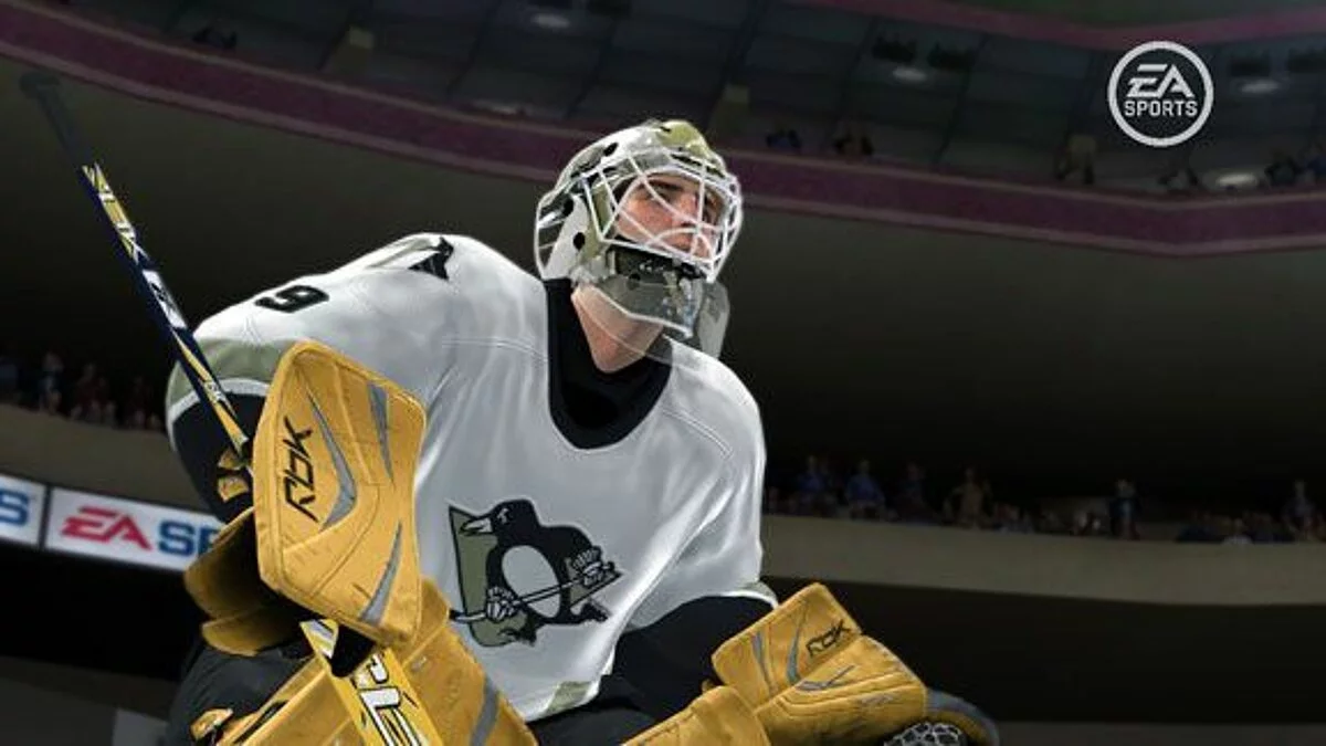 Скриншоты из NHL 08 / Картинка 26