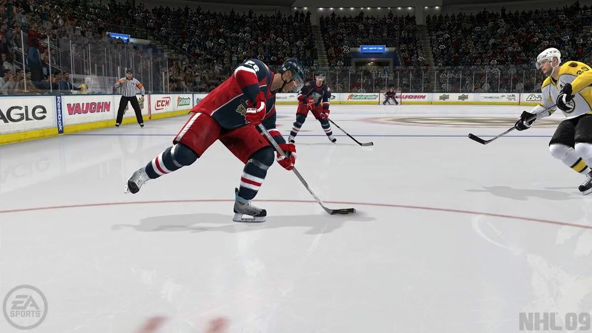 Скриншоты из NHL 09 / Картинка 1