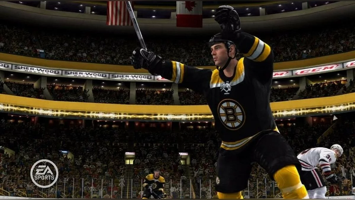 Скриншоты из NHL 09 / Картинка 52