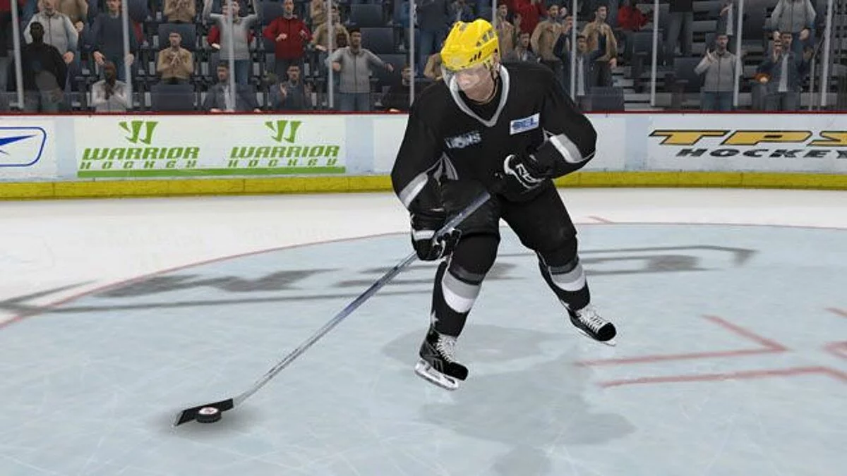 Скриншоты из NHL 09 / Картинка 29