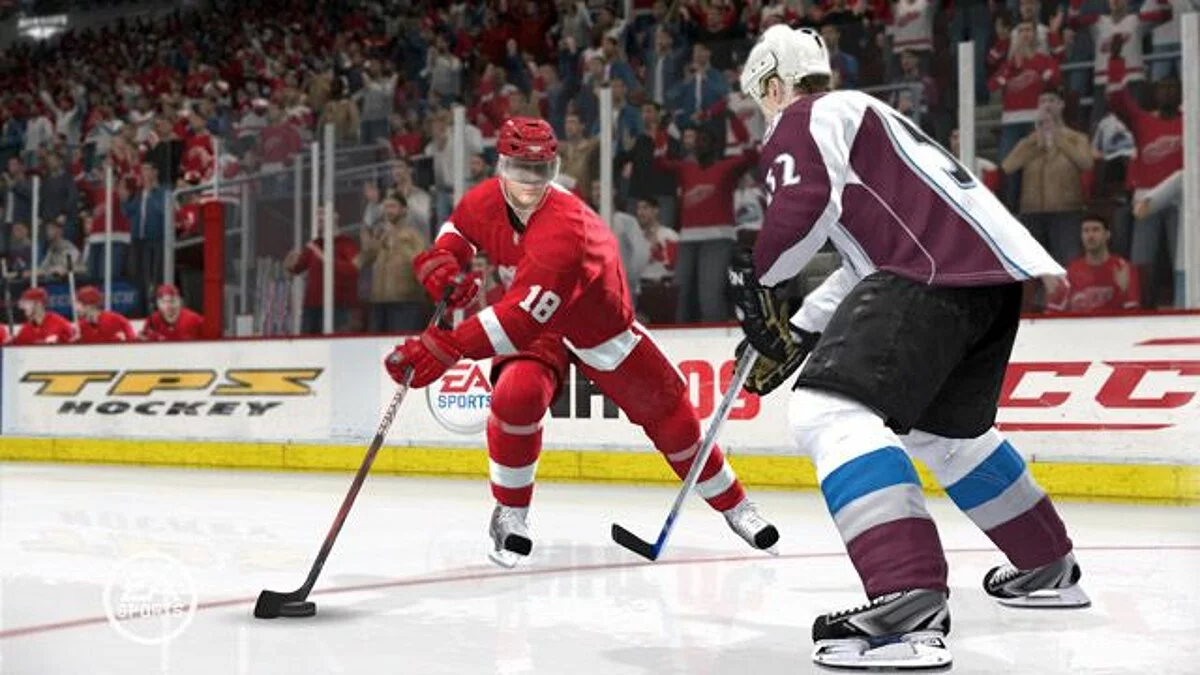 Скриншоты из NHL 09 / Картинка 31