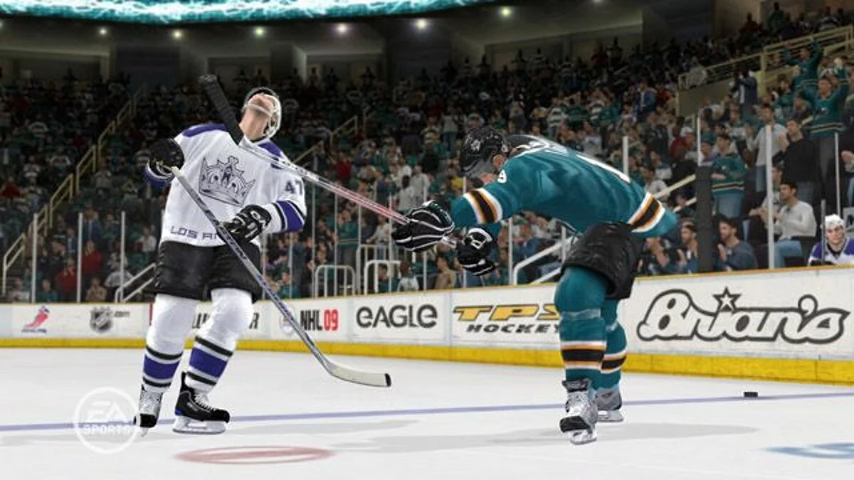 Скриншоты из NHL 09 / Картинка 38