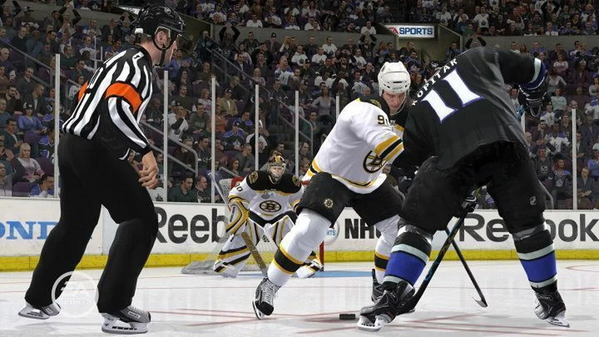 Скриншоты из NHL 11 / Картинка 25