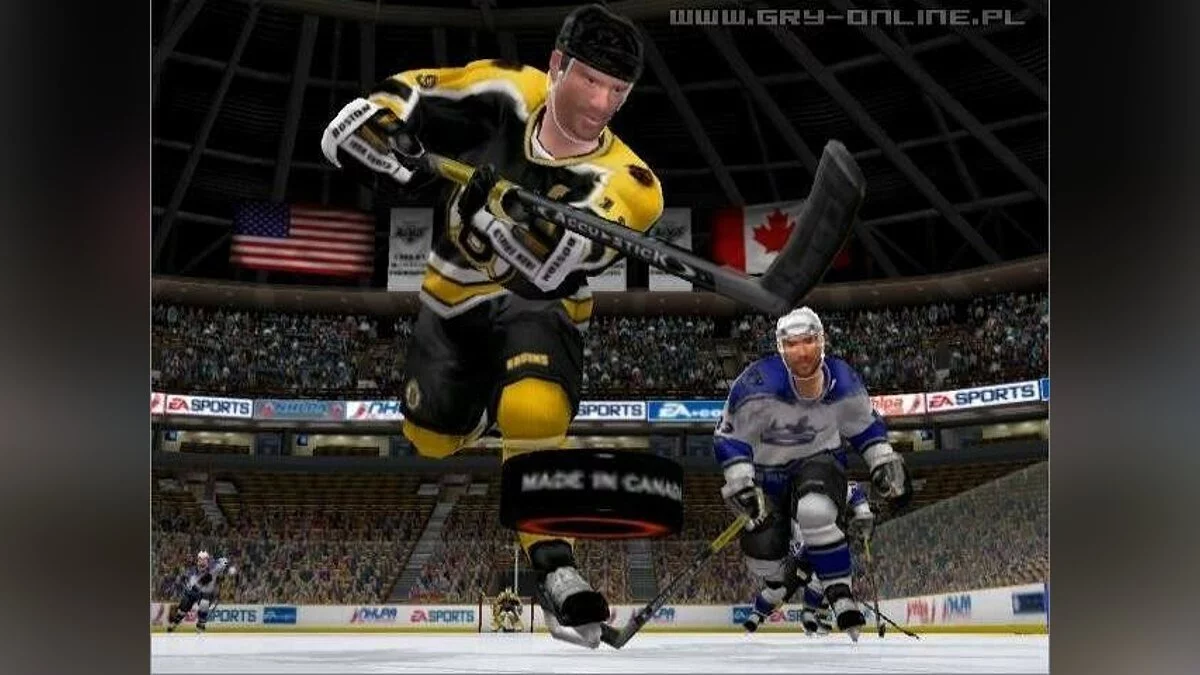 Скриншоты из NHL 2004 / Картинка 18