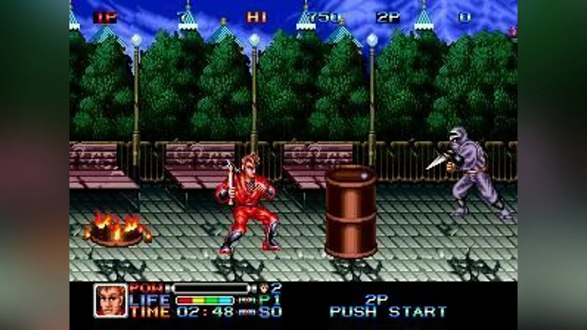 Скриншоты из Ninja Combat / Картинка 1