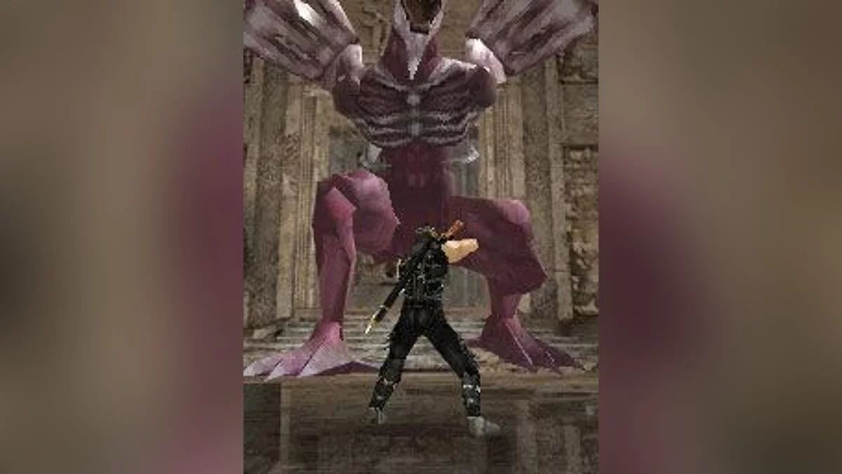 Скриншоты из Ninja Gaiden: Dragon Sword / Картинка 31