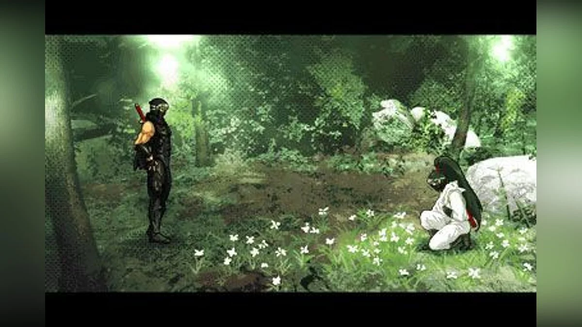 Скриншоты из Ninja Gaiden: Dragon Sword / Картинка 56