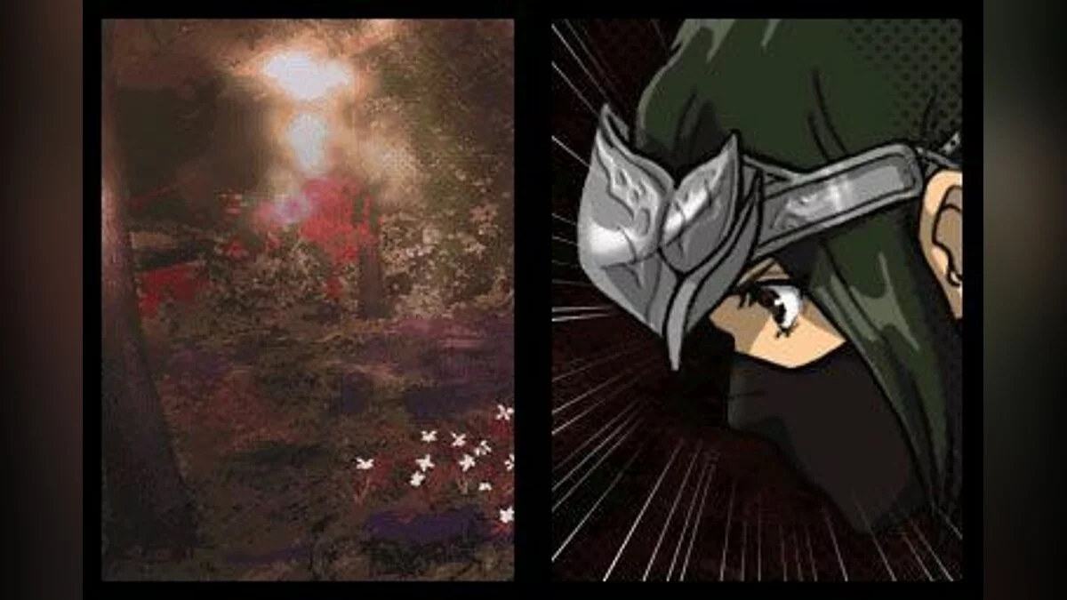 Скриншоты из Ninja Gaiden: Dragon Sword / Картинка 63