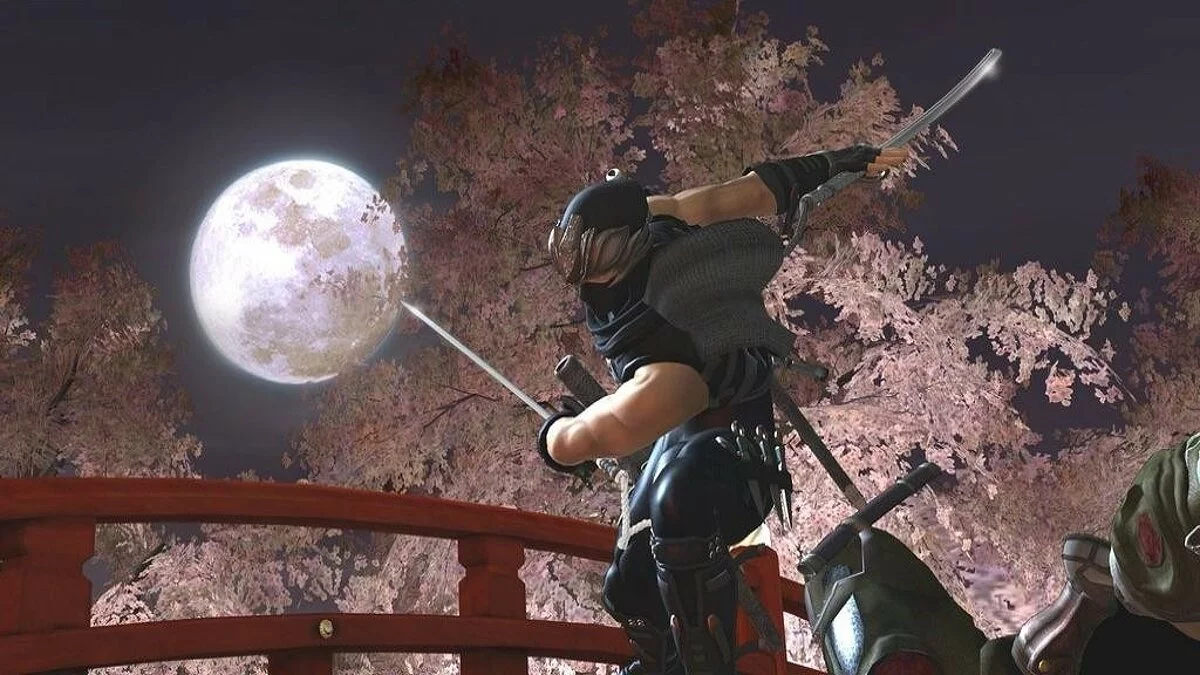 Скриншоты из Ninja Gaiden 2 / Картинка 136