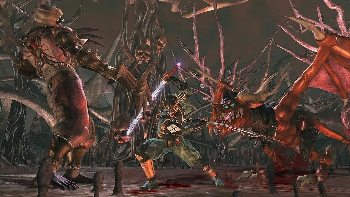 Скриншоты из Ninja Gaiden 2 / Картинка 4