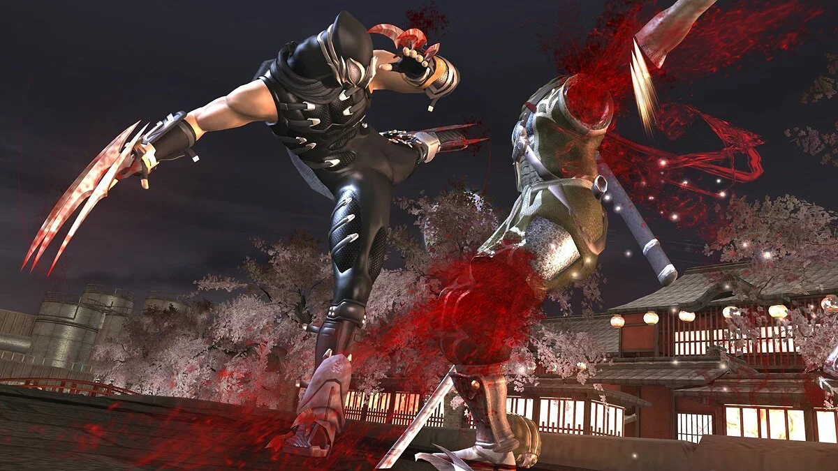 Скриншоты из Ninja Gaiden 2 / Картинка 5