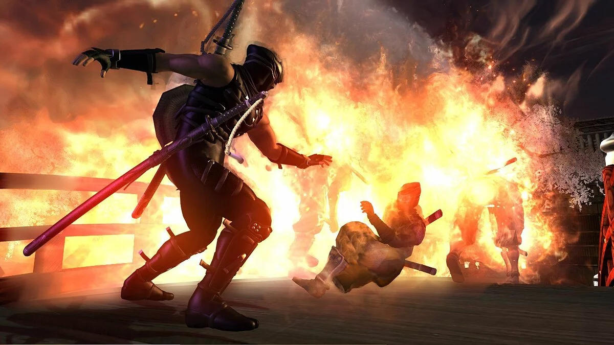 Скриншоты из Ninja Gaiden 2 / Картинка 6