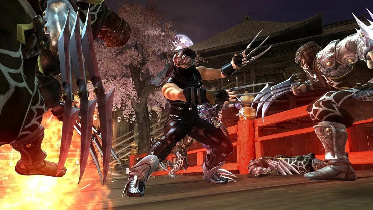 Скриншоты из Ninja Gaiden 2 / Картинка 20