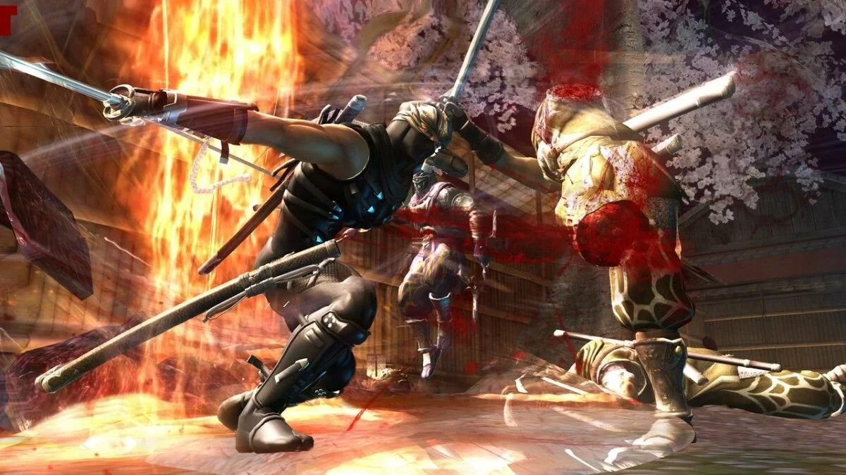 Скриншоты из Ninja Gaiden 2 / Картинка 27