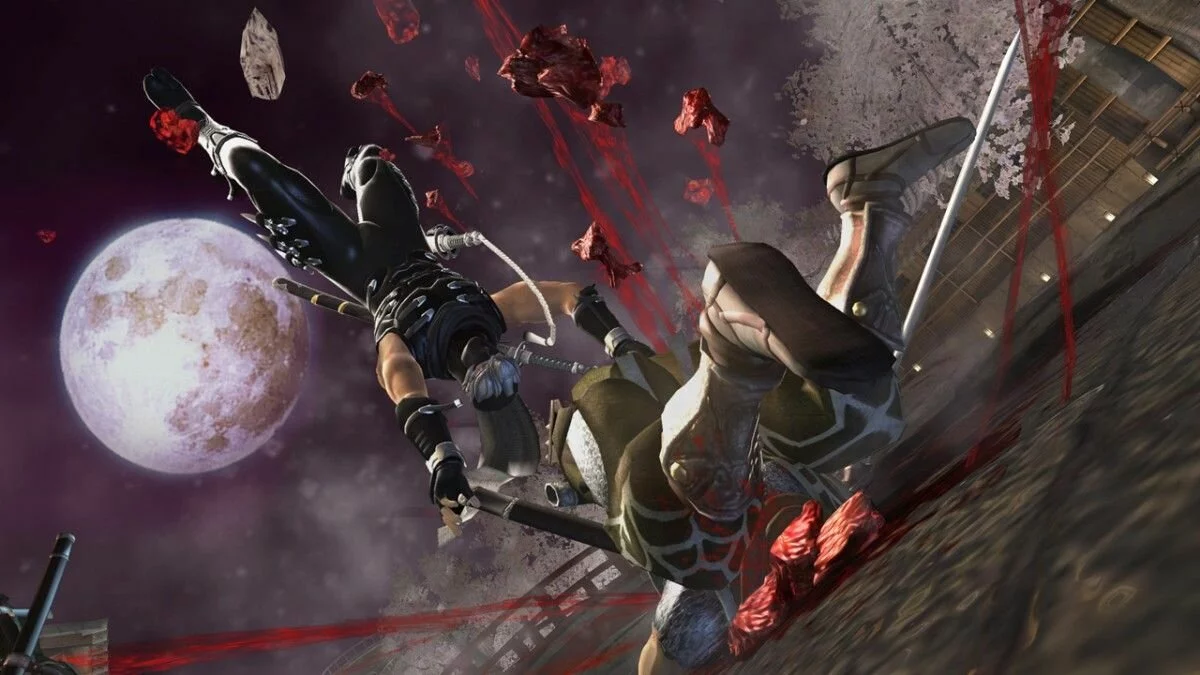 Скриншоты из Ninja Gaiden 2 / Картинка 28