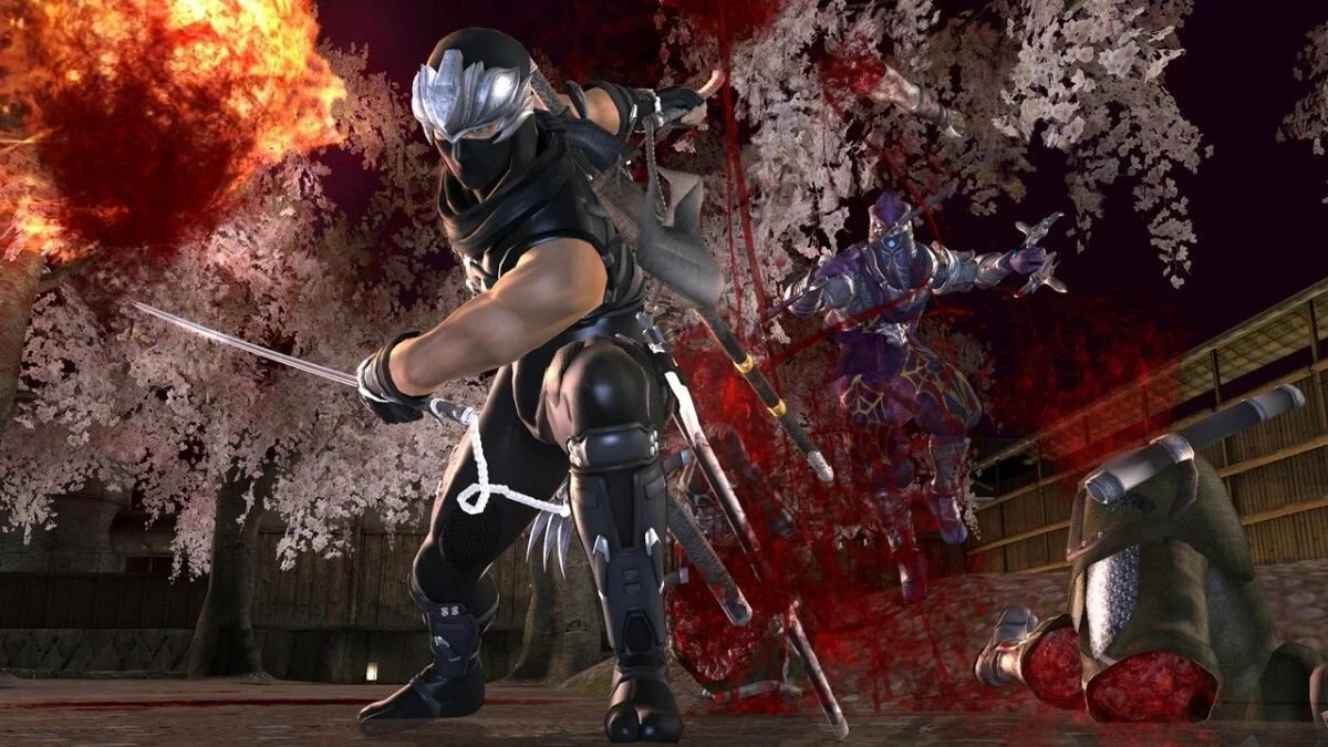 Скриншоты из Ninja Gaiden 2 / Картинка 30
