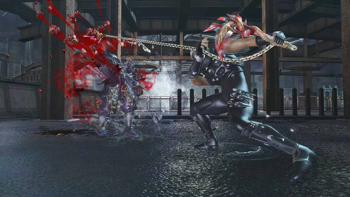 Скриншоты из Ninja Gaiden 2 / Картинка 52