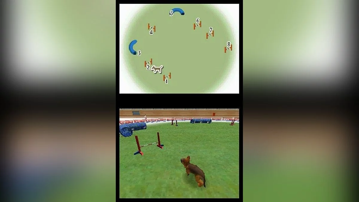 Скриншоты из Nintendogs / Картинка 4