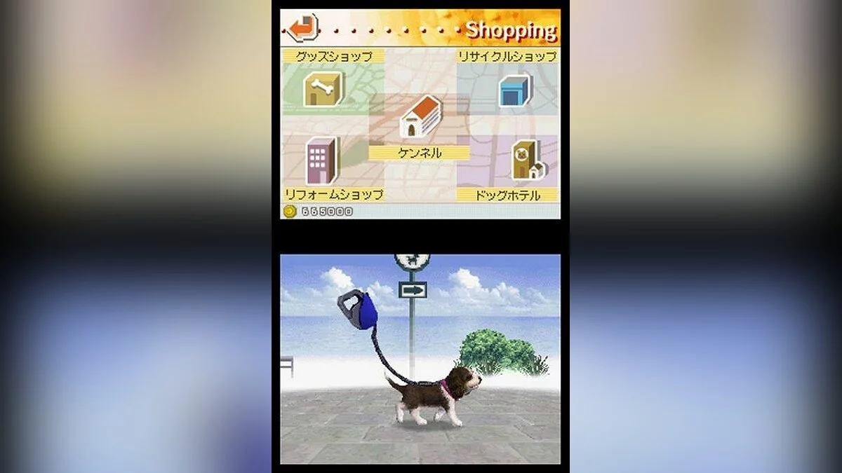 Скриншоты из Nintendogs / Картинка 5
