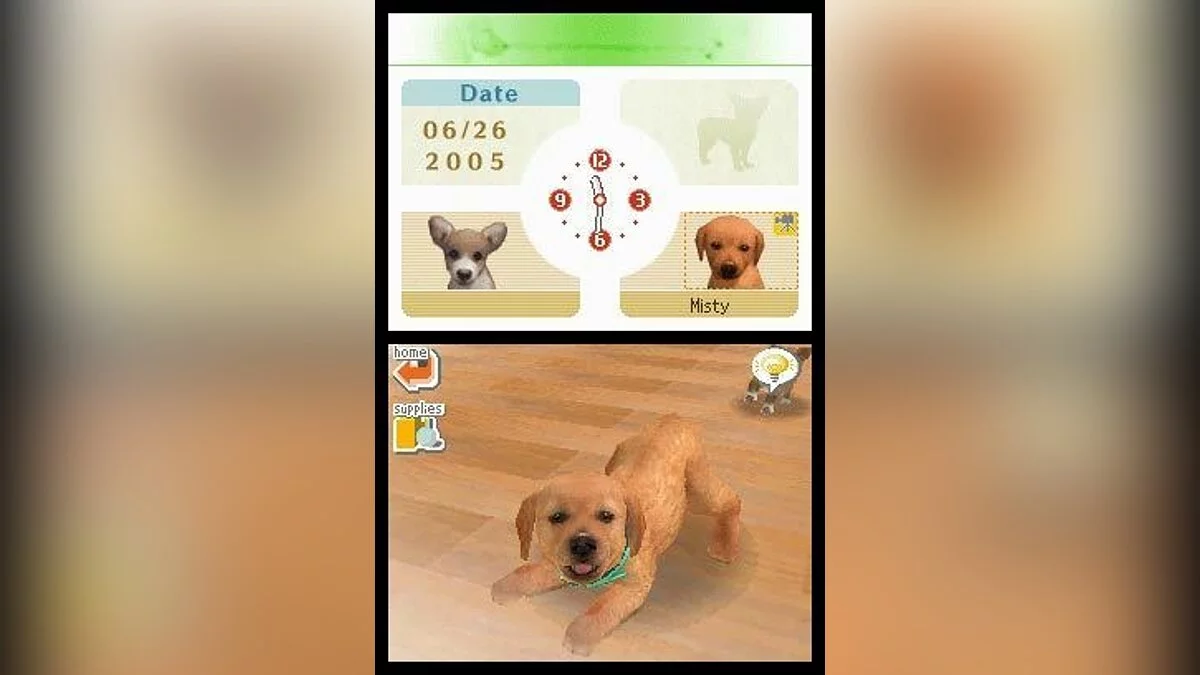 Скриншоты из Nintendogs / Картинка 7