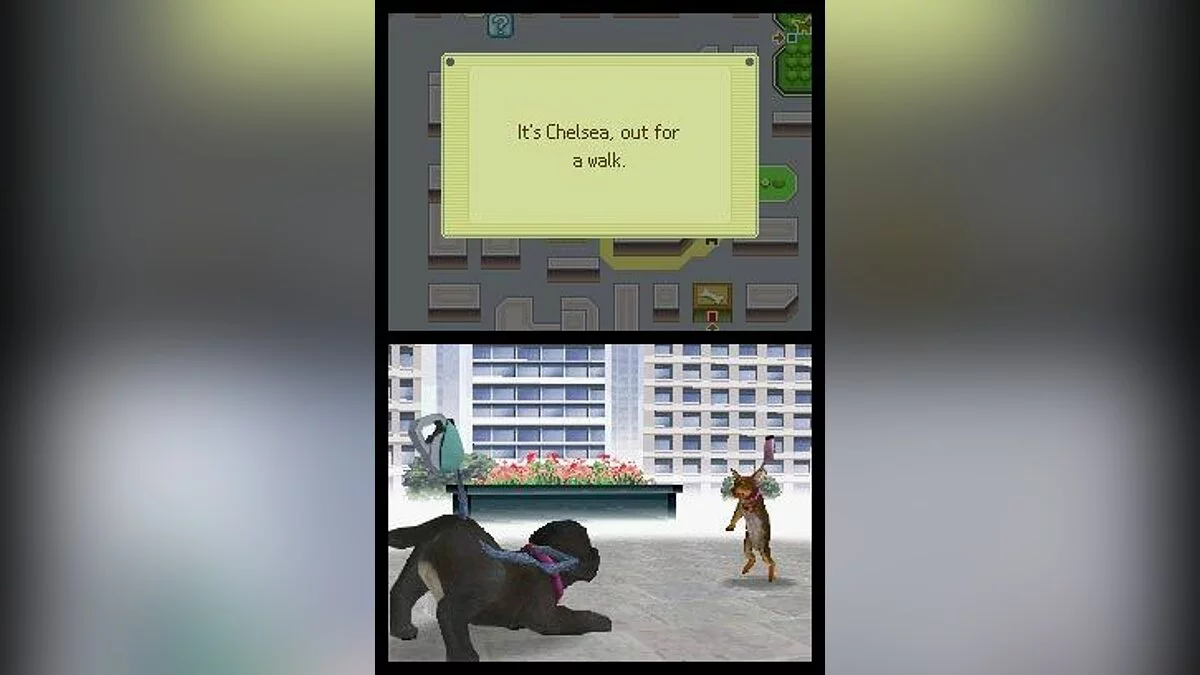 Скриншоты из Nintendogs / Картинка 8