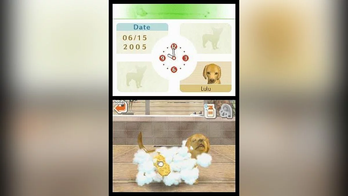 Скриншоты из Nintendogs / Картинка 9