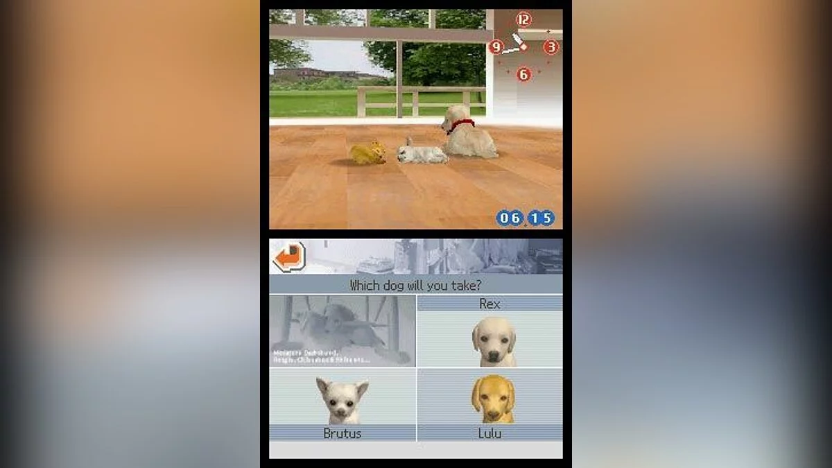 Скриншоты из Nintendogs / Картинка 11