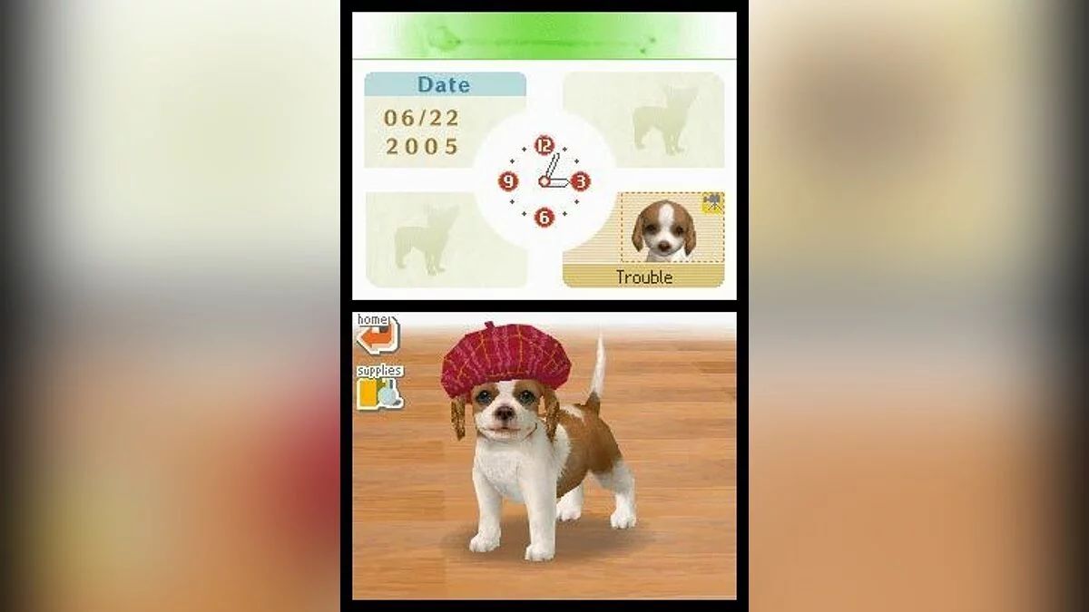 Скриншоты из Nintendogs / Картинка 12