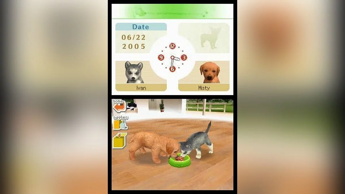 Скриншоты из Nintendogs / Картинка 13