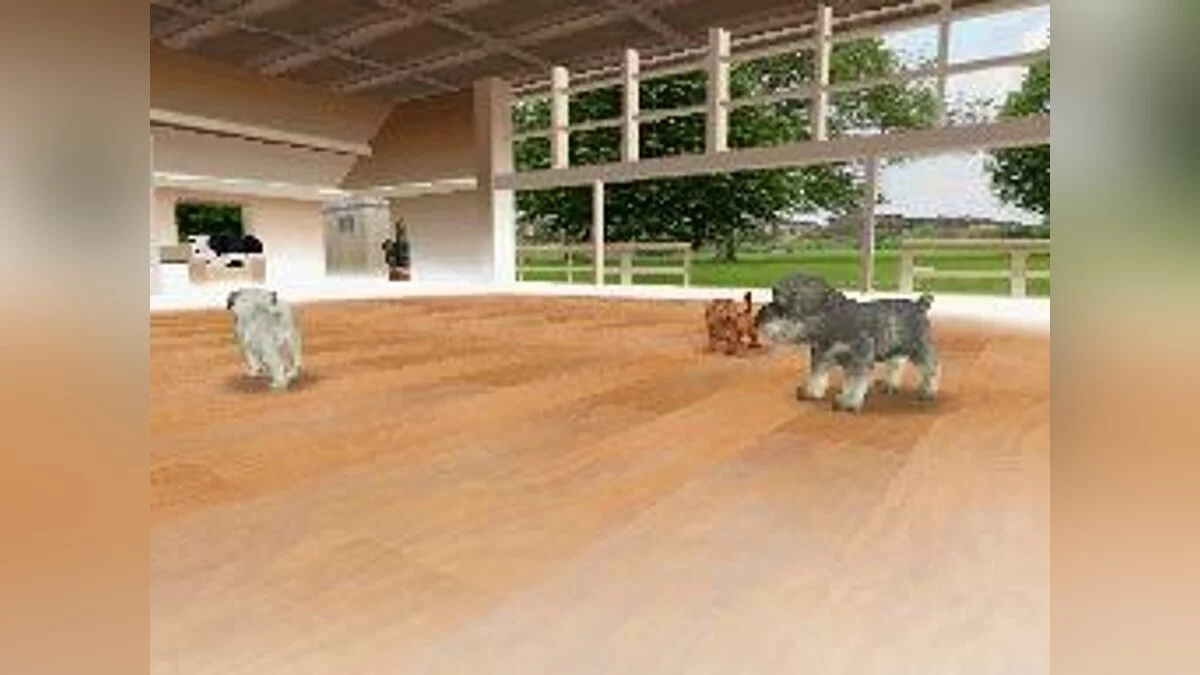 Скриншоты из Nintendogs / Картинка 15
