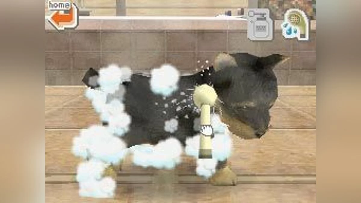 Скриншоты из Nintendogs / Картинка 16
